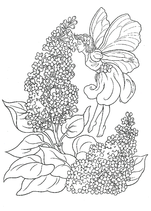 Hadas para colorear pagina 2