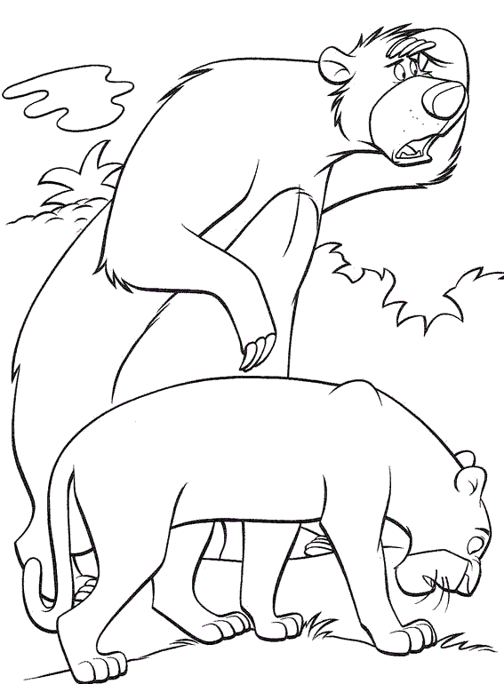 Resultado de la búsqueda Selva