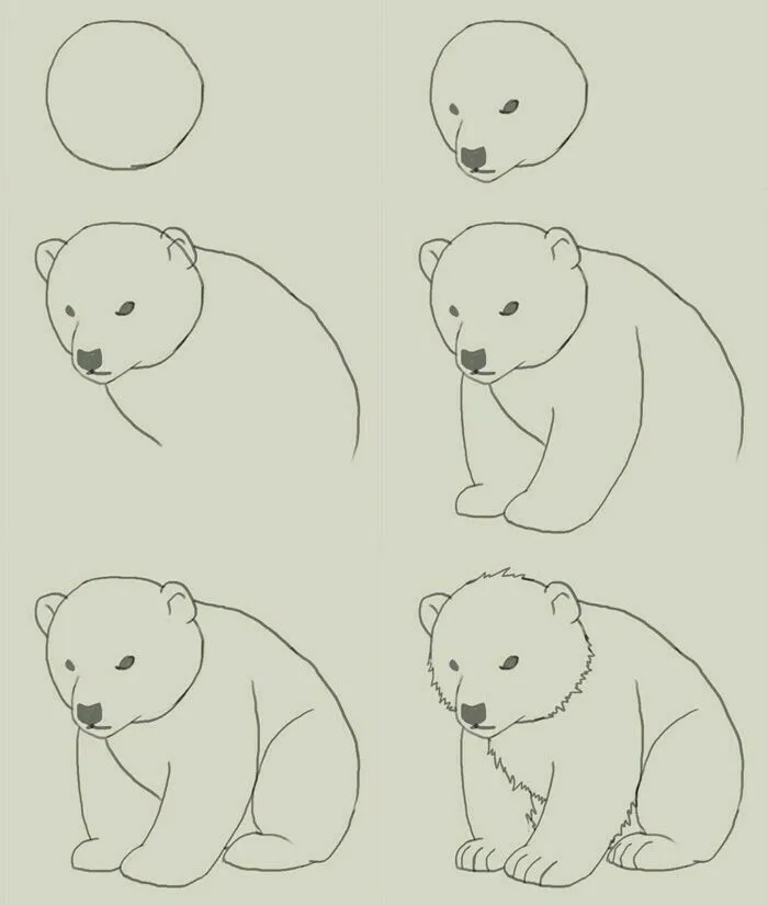 Resultado de imagen para animales en peligro de extincion para colorear oso polar | Como dibujar animales, Como dibujar un oso, Aprender a dibujar animales