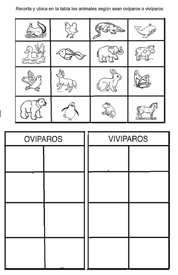 Resultado de imagen de animales viviparos y oviparos para colorear | Animales viviparos, Actividades preescolar matematicas, Ciencias de la naturaleza Resultado de imagen de animales viviparos y oviparos para colorear | Animales viviparos, Actividades preescolar matematicas, Ciencias de la naturaleza