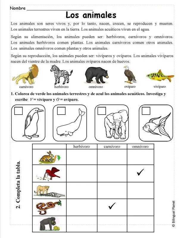 Resultado de imagen para ficha animales herbívoros carnívoros y omnívoros para colorear | Ciencia natural, Ciencia preescolar, Prueba de ciencias naturales Resultado de imagen para ficha animales herbívoros carnívoros y omnívoros para colorear | Ciencia natural, Ciencia preescolar, Prueba de ciencias naturales