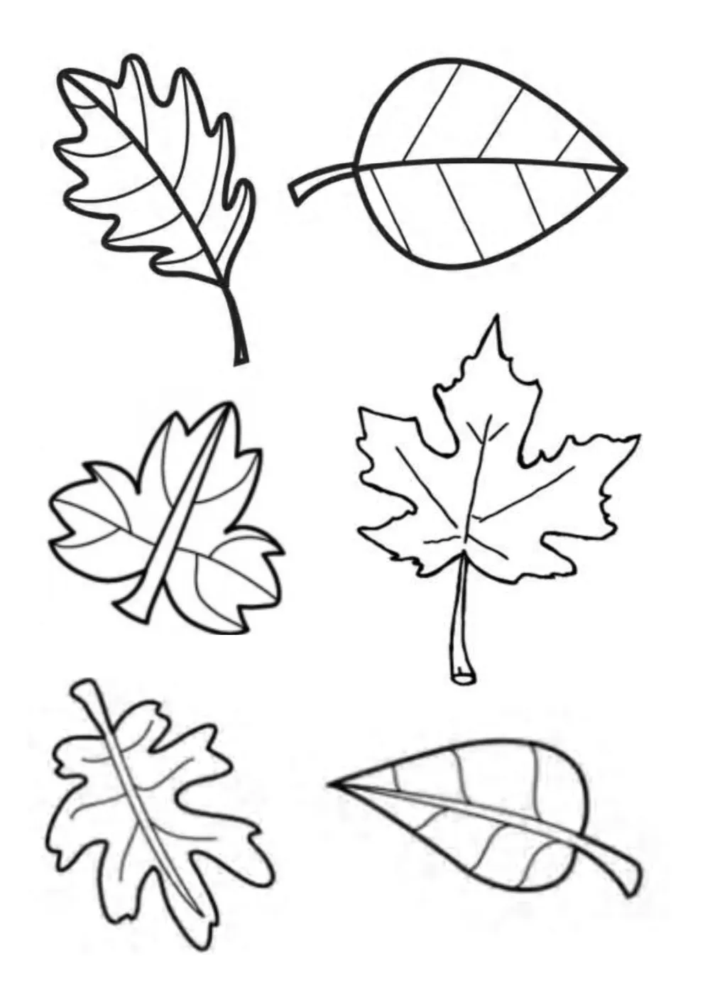 Resultado De Imagen Para Plantillas De Hojas De Arboles Para Imprimir |  Leaf Template Printable, Flower… | Leaf template, Free printable coloring  pages, Fall crafts