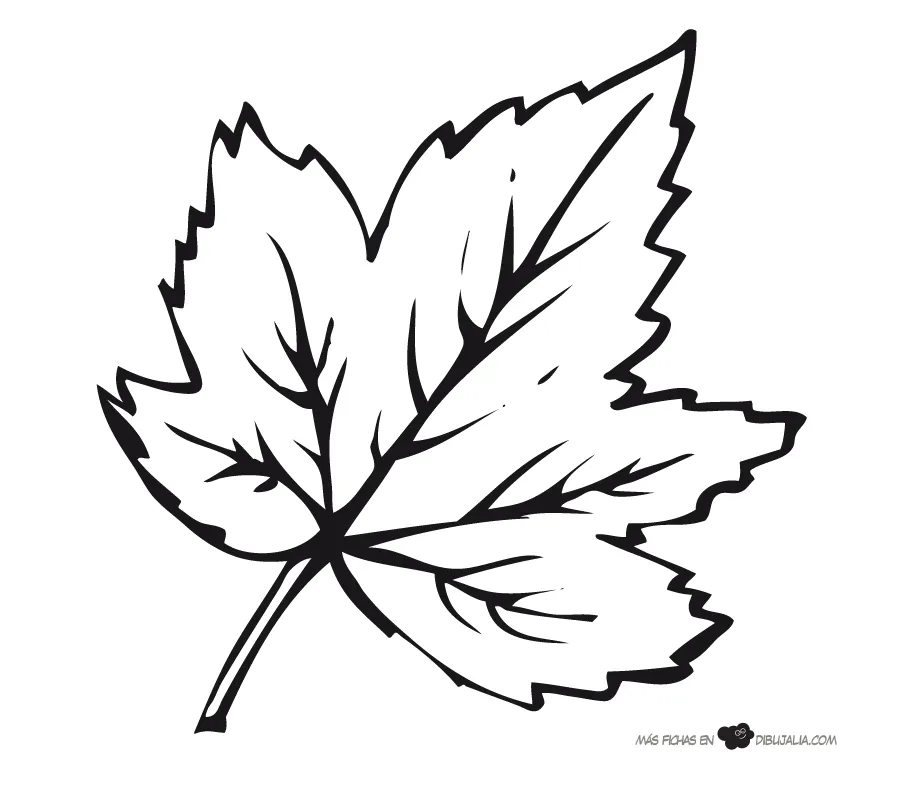 Resultado De Imagen Para Plantillas De Hojas De Arboles Para Imprimir FF7 | Dibujos hojas, Hojas de arbol, Hojas de otoño dibujo Resultado De Imagen Para Plantillas De Hojas De Arboles Para Imprimir FF7 | Dibujos hojas, Hojas de arbol, Hojas de otoño dibujo