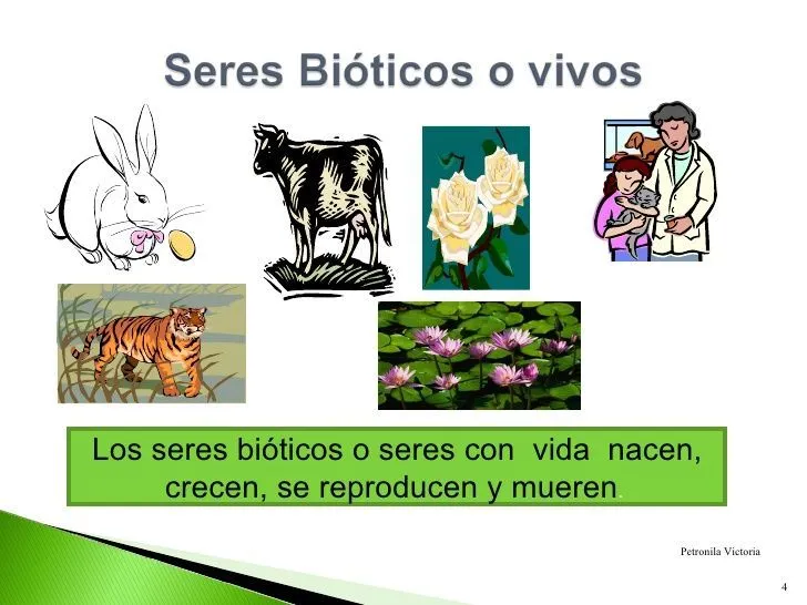 Resultado de imagen para seres bioticos y abioticos | Factores bioticos y abioticos, Clasificacion de seres vivos, Seres vivos Resultado de imagen para seres bioticos y abioticos | Factores bioticos y abioticos, Clasificacion de seres vivos, Seres vivos