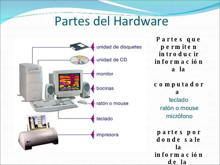 Resultados de la búsqueda de imágenes: dibujos de un computador y sus  partes definidas … | Clase de informática, Clasificacion de seres vivos,  Clases de computacion