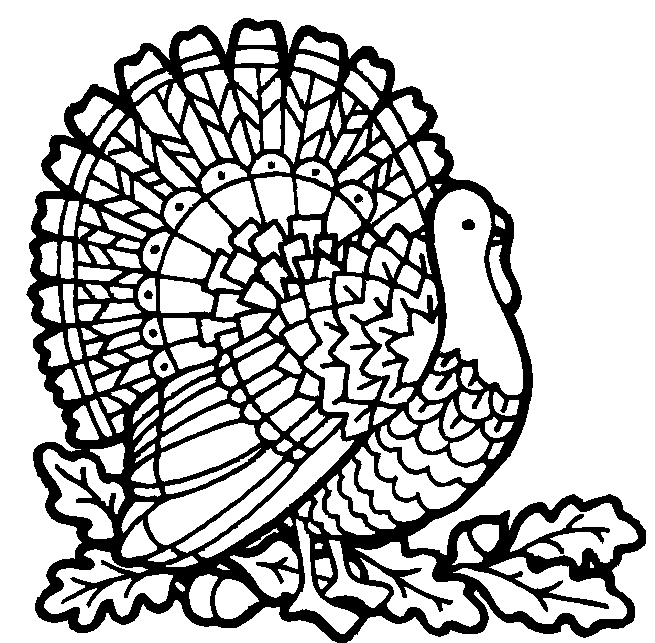 QUIERES SER PAVO REAL