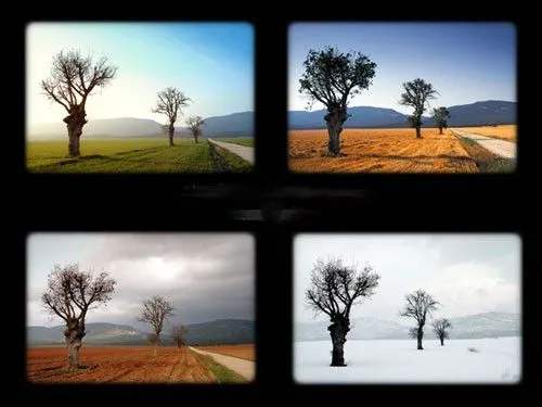 RETOLICAS: Las cuatro estaciones.