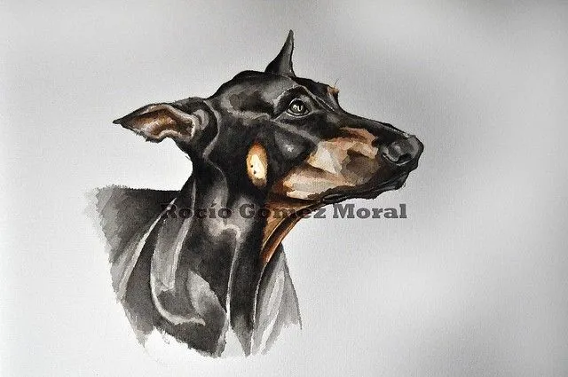 Retrato de perro | Flickr - Photo Sharing!