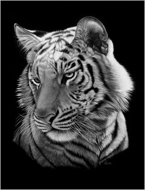 Retratos hiperrealistas de felinos | LaReserva Retratos hiperrealistas de felinos | LaReserva