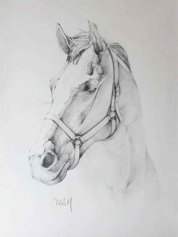 Cabeza de Caballo María Sánchez Hernández - Artelista.com Cabeza de Caballo María Sánchez Hernández - Artelista.com
