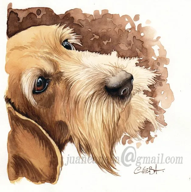 Retratos para Perros: Acuarela