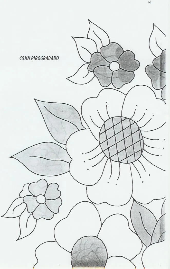 revista-333.jpg
