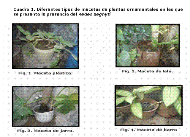 Revista Archivo Médico de Camagüey - Aedes (St.) aegypti ... Revista Archivo Médico de Camagüey - Aedes (St.) aegypti ...