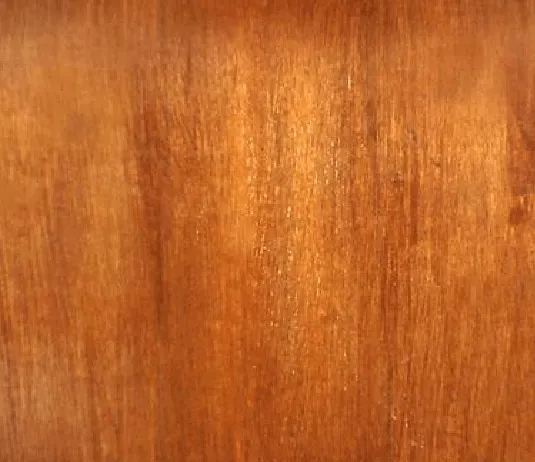 REVISTA DIGITAL APUNTES DE ARQUITECTURA: TEXTURAS