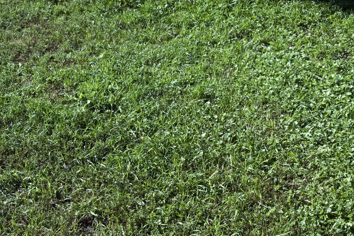 REVISTA DIGITAL APUNTES DE ARQUITECTURA: Texturas Naturales 10 ... REVISTA DIGITAL APUNTES DE ARQUITECTURA: Texturas Naturales 10 ...