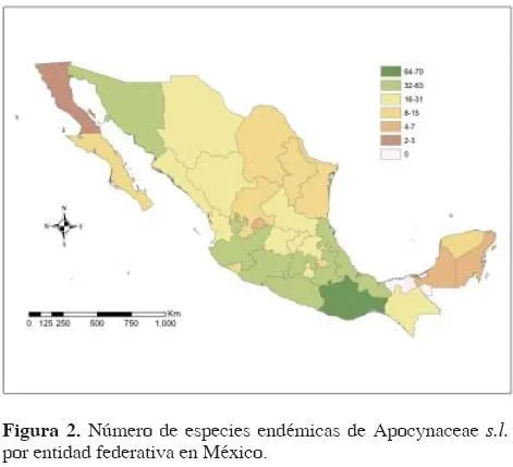 Revista mexicana de biodiversidad - La familia Apocynaceae sensu ...