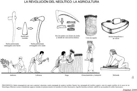 revolución científica | sociedadytecnologiadg7 revolución científica | sociedadytecnologiadg7
