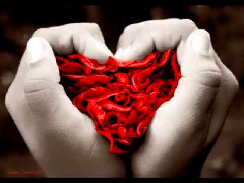 Reyli - Amor Del Bueno Lyrics Reyli - Amor Del Bueno Lyrics