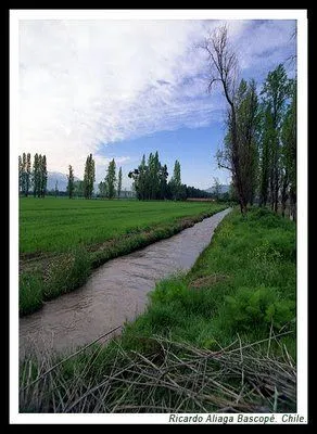 Ricardo Aliaga FOTOGRAFÍA: Un paisaje de campo Ricardo Aliaga FOTOGRAFÍA: Un paisaje de campo