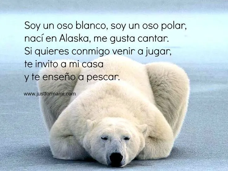 Rimas cortas para niños: Oso polar | Poemas, Rimas, Canciones ...