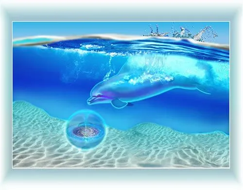 EL RINCON DE MIS AFICIONES: ¡¡DELFINES UNA ESPECIE SINGULAR!!