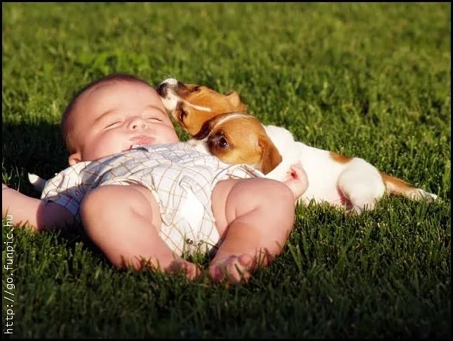 EL RINCON DE MIS AFICIONES: ¡¡TIERNAS IMAGENES DE BEBES Y ANIMALES!! EL RINCON DE MIS AFICIONES: ¡¡TIERNAS IMAGENES DE BEBES Y ANIMALES!!