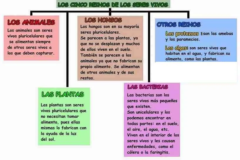 LOS 5 REINOS DE LOS SERES VIVOS