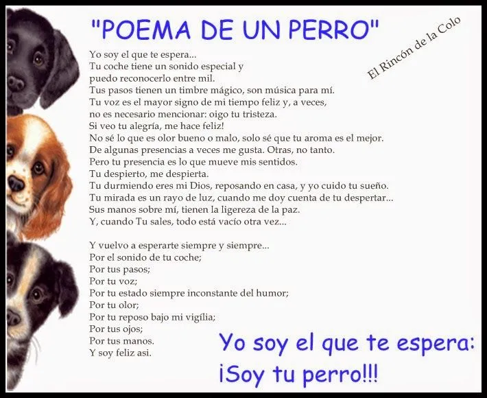 El Rincón de la Colo: POEMA DE UN PERRO.