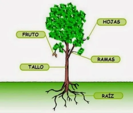 Mi Rincón De Cuadros Azules: Planificación: Los árboles...