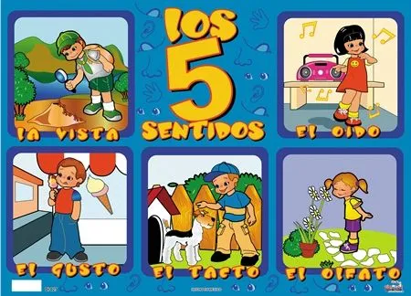 Dibujos de lo 5 sentidos - Imagui