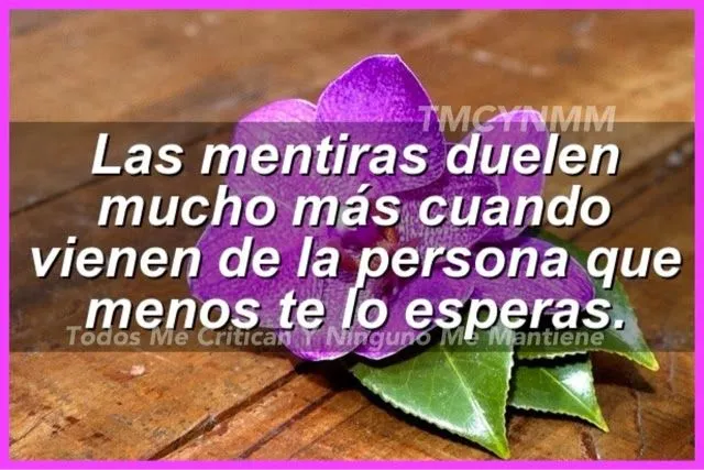 El Rincón De Las Frases : Las mentiras duelen mucho más cuando ... El Rincón De Las Frases : Las mentiras duelen mucho más cuando ...