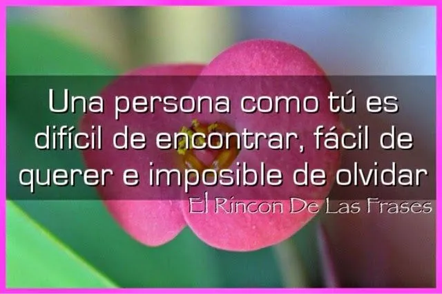 El Rincón De Las Frases : Una persona como tú es difícil de ...