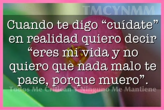 El Rincón De Las Frases : Eres mi vida