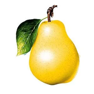 El rincon de la infancia: ? Las Frutas ?