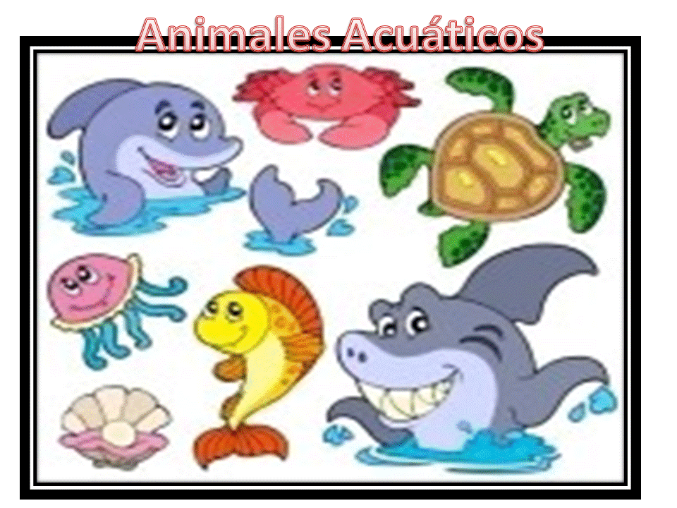 Animales aereos terrestres y acuáticos para niños - Imagui Animales aereos terrestres y acuáticos para niños - Imagui