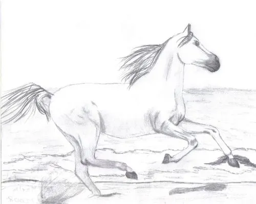 El Rincón Multicolor de Karla: Caballos