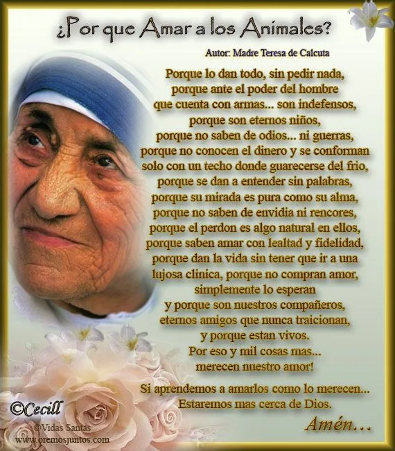 Rincón de la Oración: Estampas Oraciones para pedir por las ...
