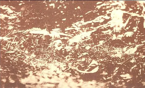 El Rincon Paranormal: Fotografias y Videos de Hadas Reales ... El Rincon Paranormal: Fotografias y Videos de Hadas Reales ...