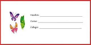 EL RINCÓN DE LOS PEQUES: ETIQUETAS PARA LOS LIBROS DEL COLE