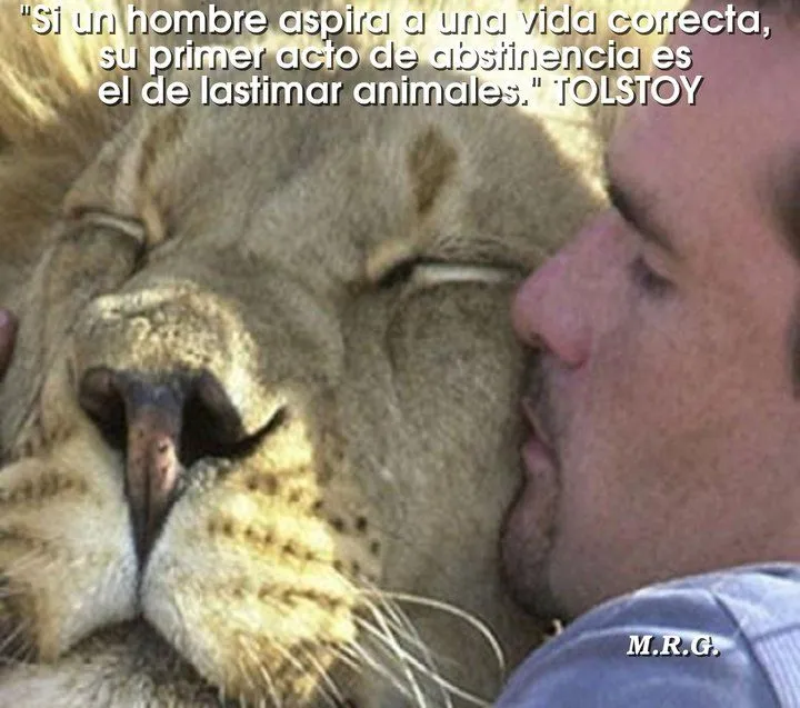 El rincon de la Ratoncilla: Frases animalistas