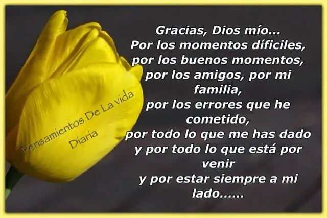 El Rincón De Reflexiones Y Pensamientos : Gracias, Dios mío...