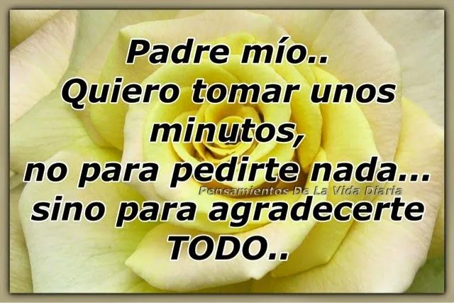 El Rincón De Reflexiones Y Pensamientos : Gracias Padre Mío