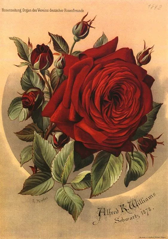 El Rincón Vintage: Láminas de *Flores Vintage*