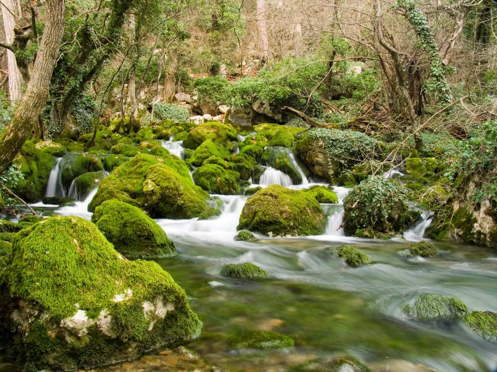 Río de agua viva cruzando por las rocas cubiertas de musgo | Banco ... Río de agua viva cruzando por las rocas cubiertas de musgo | Banco ...
