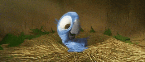 Rio 2 GIFs on Giphy