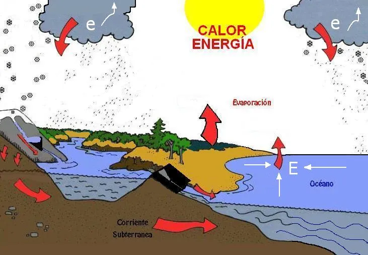 Río Guadalquivir. Si paramos el agua, pararemos la Naturaleza.