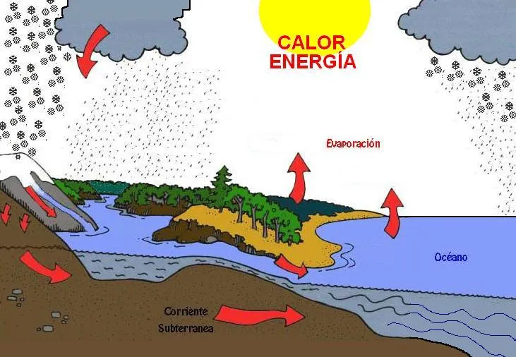 Dibujos del ciclo del agua - Imagui