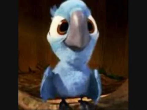 RIO the soundtrack: 2011, blu, blue skies, fly of love, for fans ... RIO the soundtrack: 2011, blu, blue skies, fly of love, for fans ...