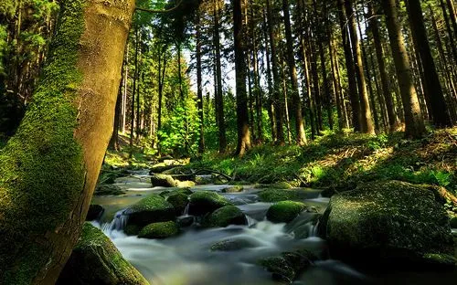 Fotografías de ríos y paisajes naturales (7 postales) | Banco de ... Fotografías de ríos y paisajes naturales (7 postales) | Banco de ...