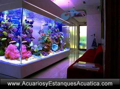 ROCA VIVA INDONESIA PREMIUM ACUARIO MARINO - Acuarios y Estanques ...